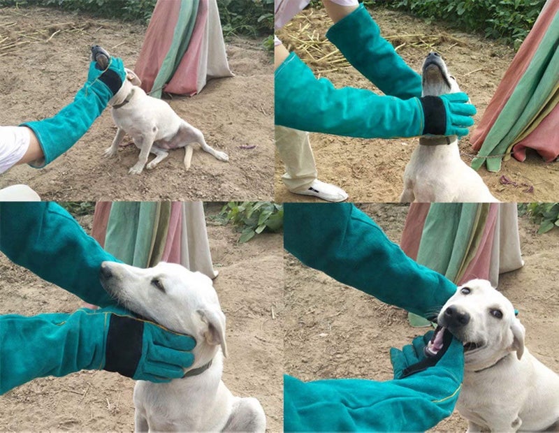 YBB Animal Handling Anti-bite/Scratch Gloves for Dog Cat Bird Parrot Pet (Green) - Image 3